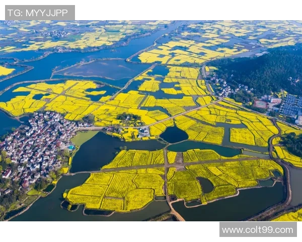 体育类YouTube博主推荐